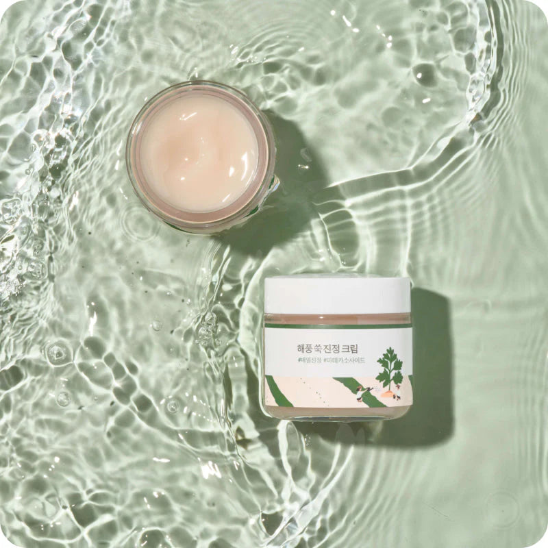 Round Lab Mugwort Creme Calmante: Hidratação Reparadora de Pele Sensível — imagem 6