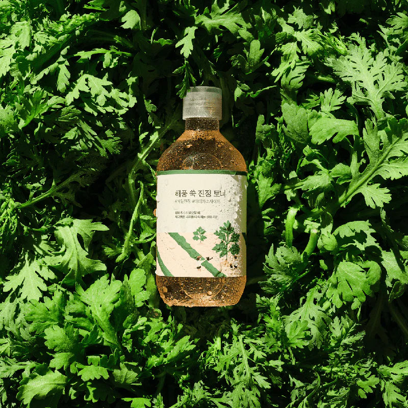 Round Lab Mugwort Calming Toner: Tónico Calmante para Pele Sensível — imagem 2